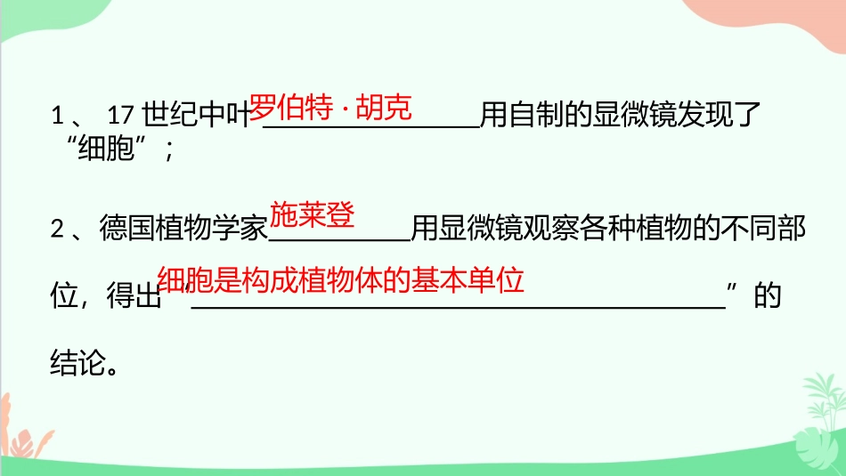 《植物细胞结构和功能》PPT教学课件[苏教版七年级生物上册]_第3页