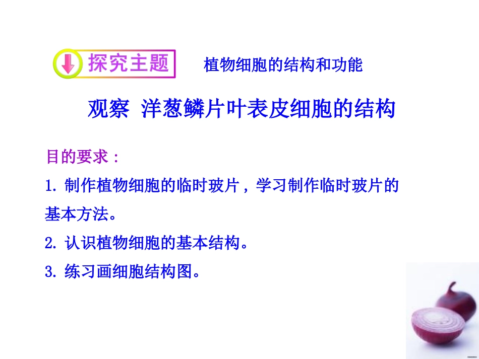 《植物细胞结构和功能》PPT课件[苏教版七年级生物上册]_第2页