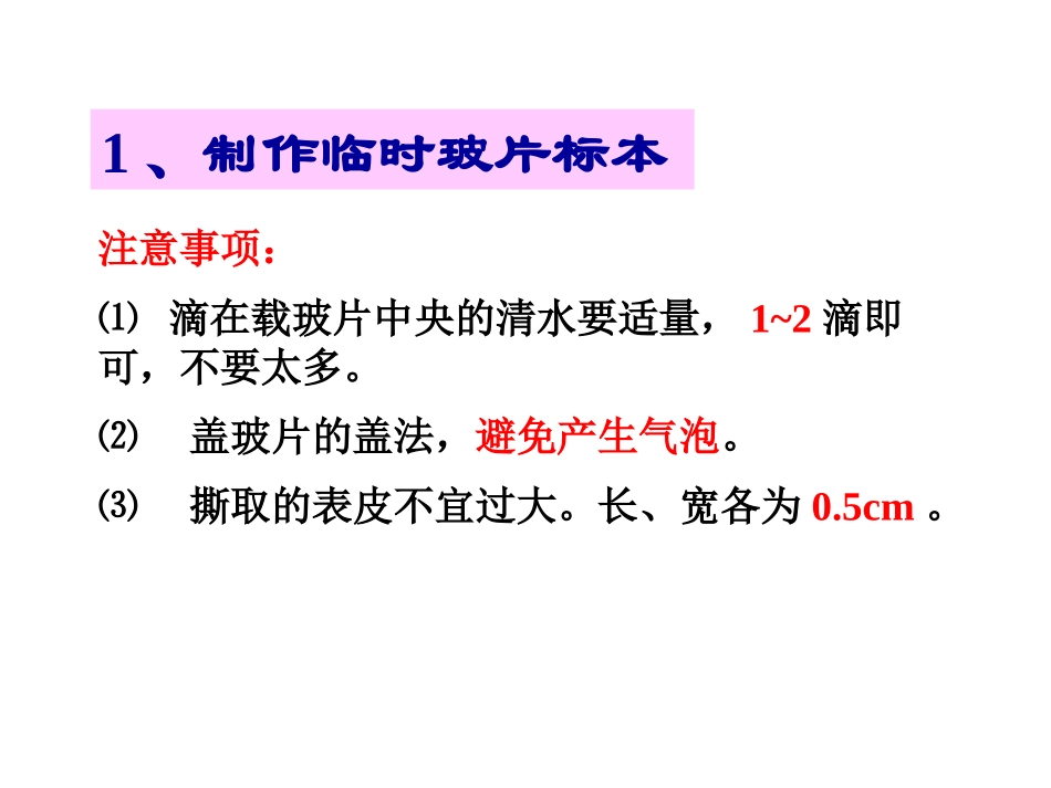 《植物细胞结构和功能》PPT课件[苏教版七年级生物上册]_第3页