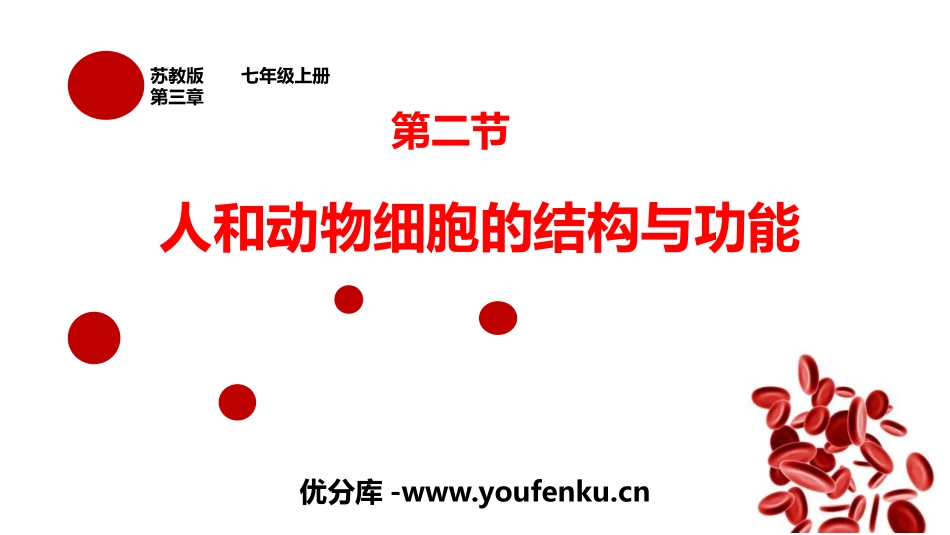 《人和动物细胞的结构与功能》PPT教学课件[苏教版七年级生物]_第1页