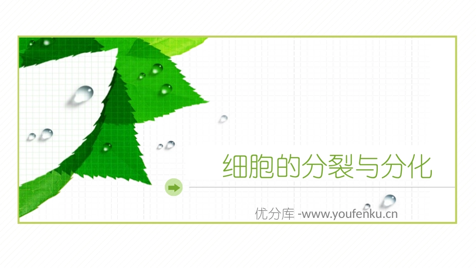 《细胞的分裂与分化》PPT课件[苏教版七年级生物上册]_第1页