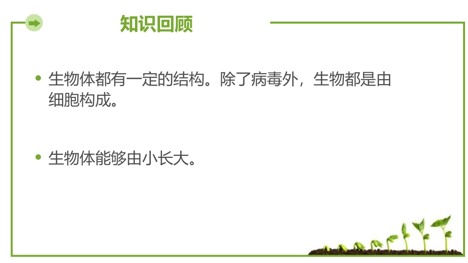 《细胞的分裂与分化》PPT课件[苏教版七年级生物上册]_第3页