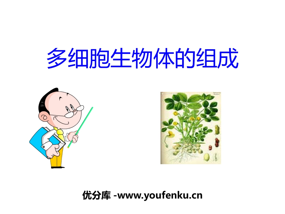 《多细胞生物体的组成》PPT课件[苏教版七年级生物上册]_第1页