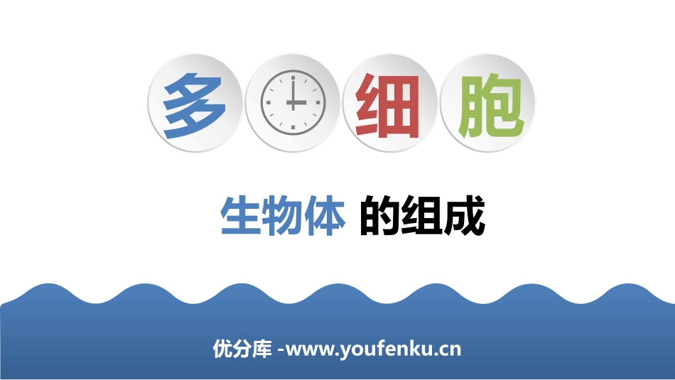 《多细胞生物体的组成》PPT课件[苏教版七年级生物上册]_第1页