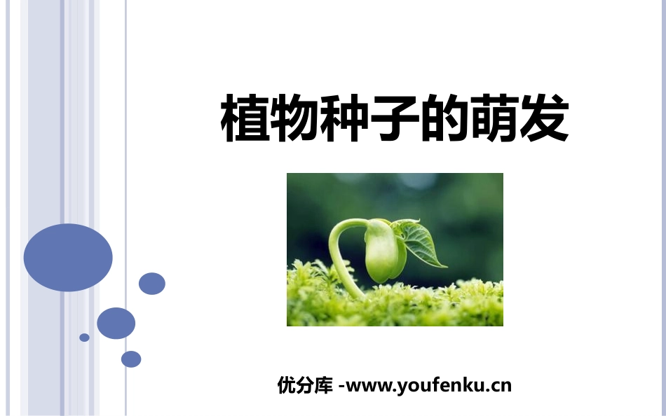 《植物种子的萌发》PPT课件[苏教版七年级生物上册]_第1页