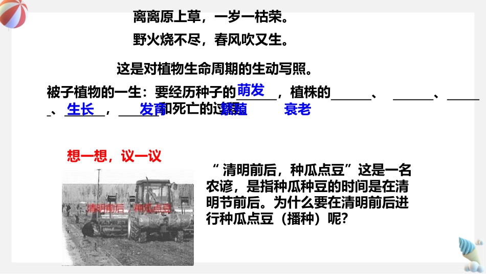 《植物种子的萌发》PPT教学课件[苏教版七年级生物上册]_第3页