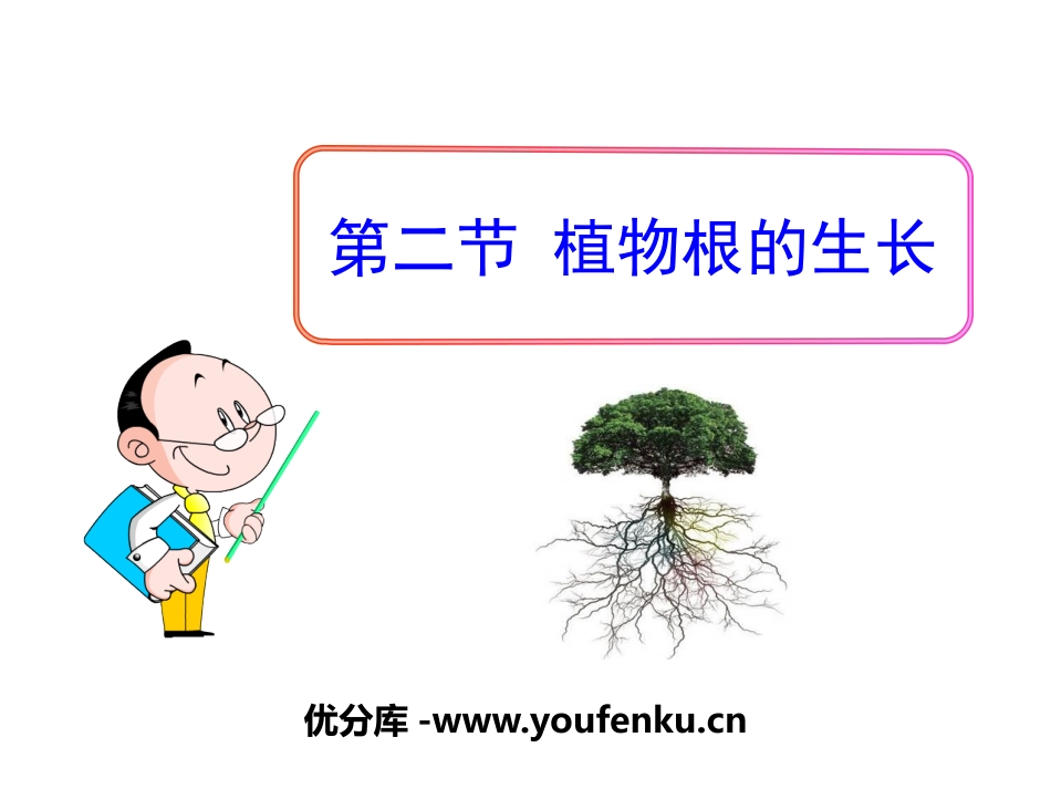 《植物根的生长》PPT课件[苏教版七年级生物上册]_第1页