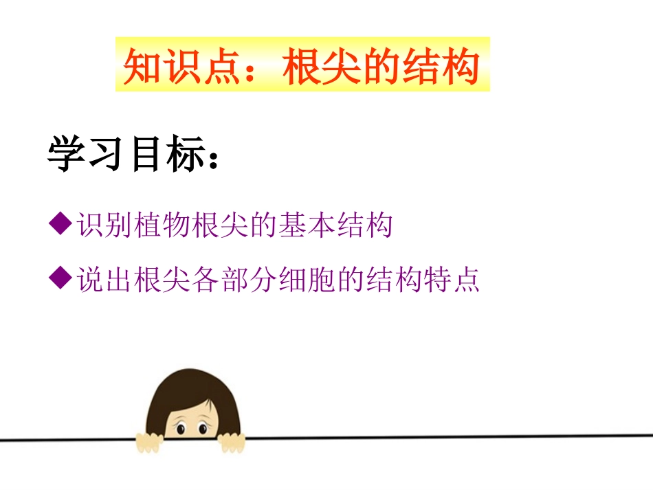 《植物根的生长》PPT课件[苏教版七年级生物上册]_第2页