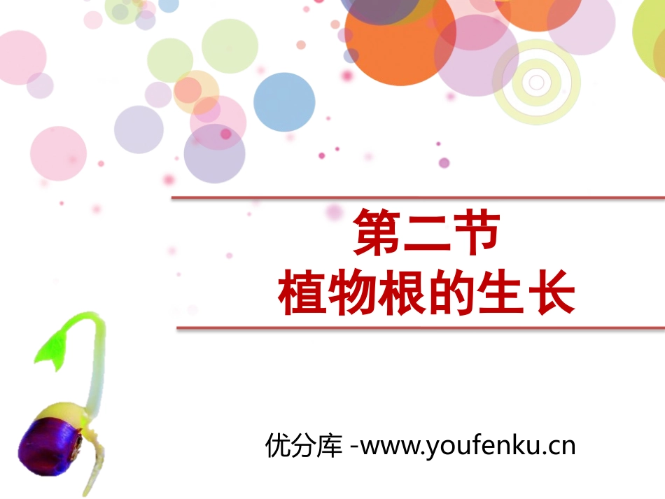 《植物根的生长》PPT教学课件[苏教版七年级生物上册]_第1页