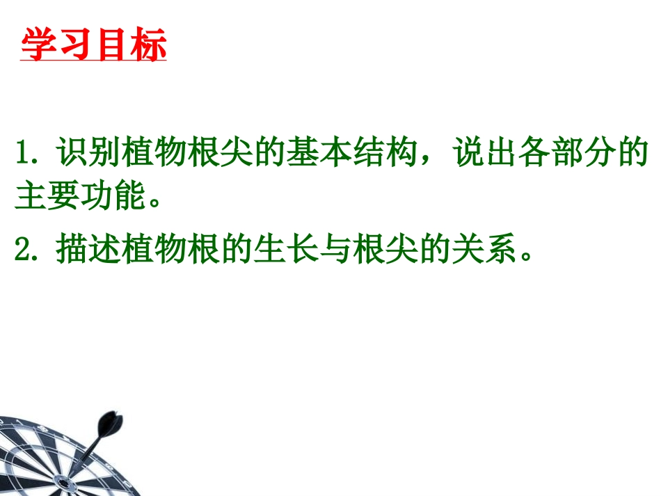 《植物根的生长》PPT教学课件[苏教版七年级生物上册]_第2页
