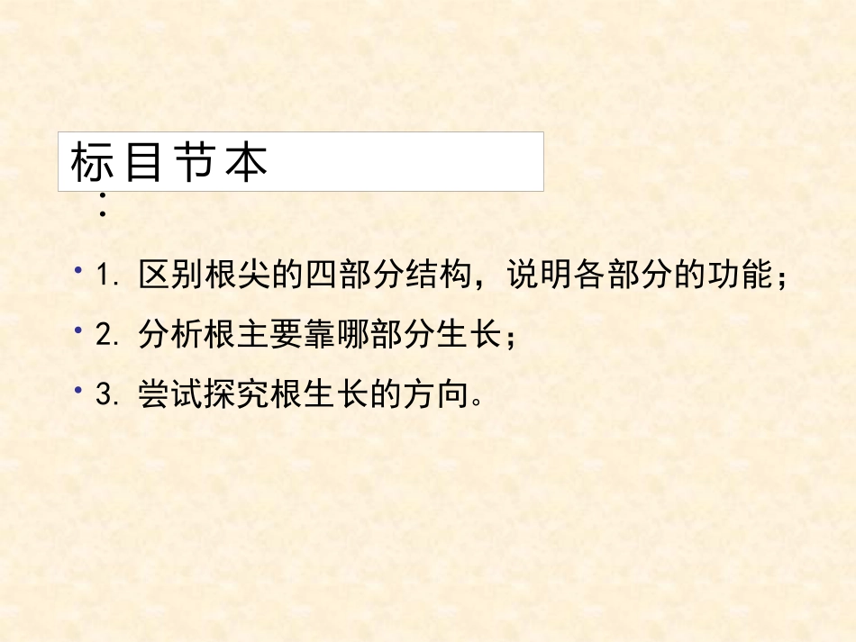 《植物根的生长》PPT课件[苏教版七年级生物上册]_第2页