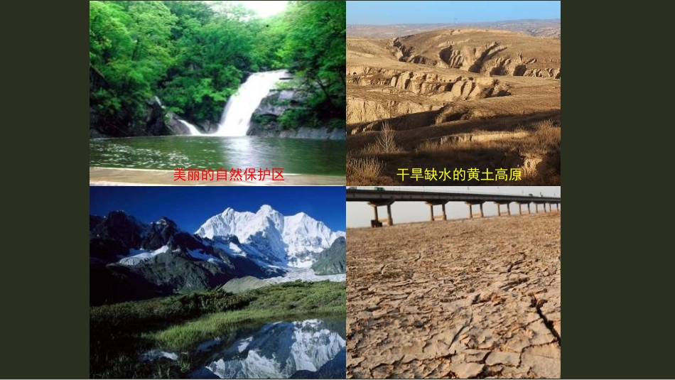 《植物生长需要水和无机盐》PPT课件[苏教版七年级生物上册]_第2页