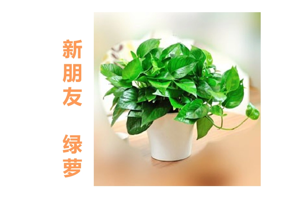 《植物生长需要水和无机盐》PPT课件[苏教版七年级生物上册]_第2页