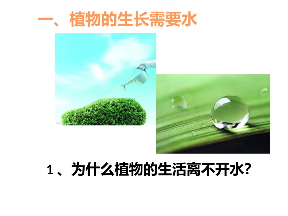 《植物生长需要水和无机盐》PPT课件[苏教版七年级生物上册]_第3页