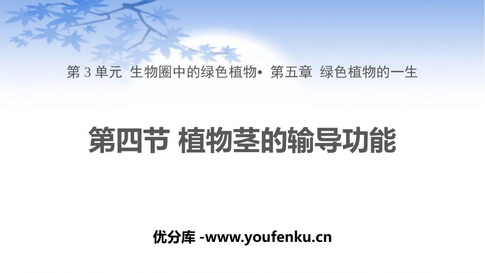 《植物茎的输导功能》PPT课件[苏教版七年级生物上册]_第1页