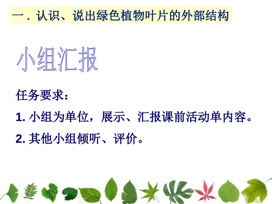 《植物光合作用的场所》PPT课件[苏教版七年级生物上册]_第2页