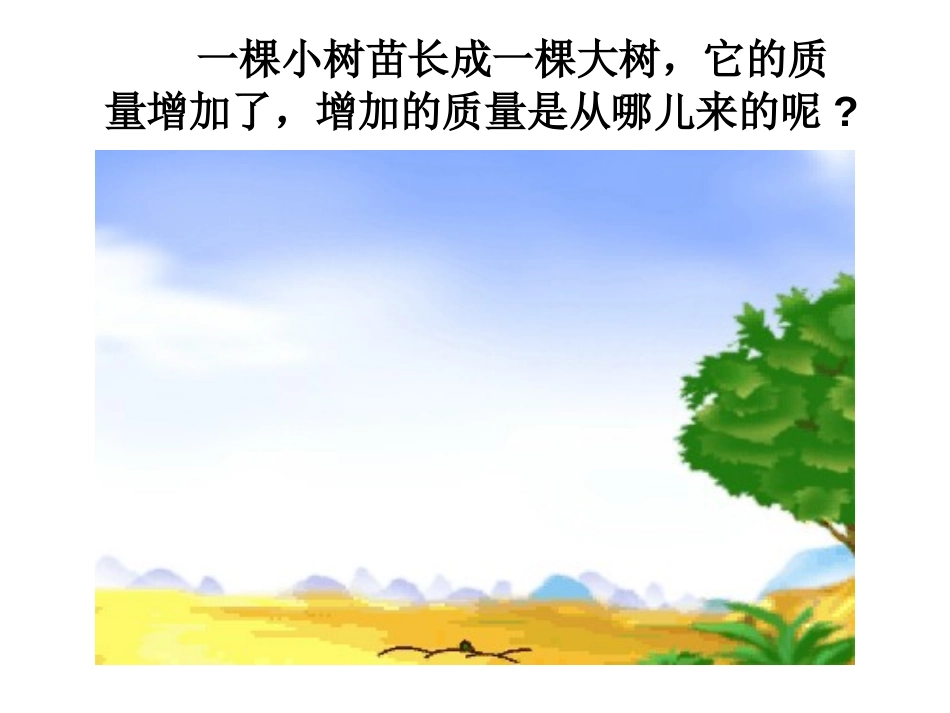 《植物光合作用的发现》PPT教学课件[苏教版七年级生物上册]_第2页