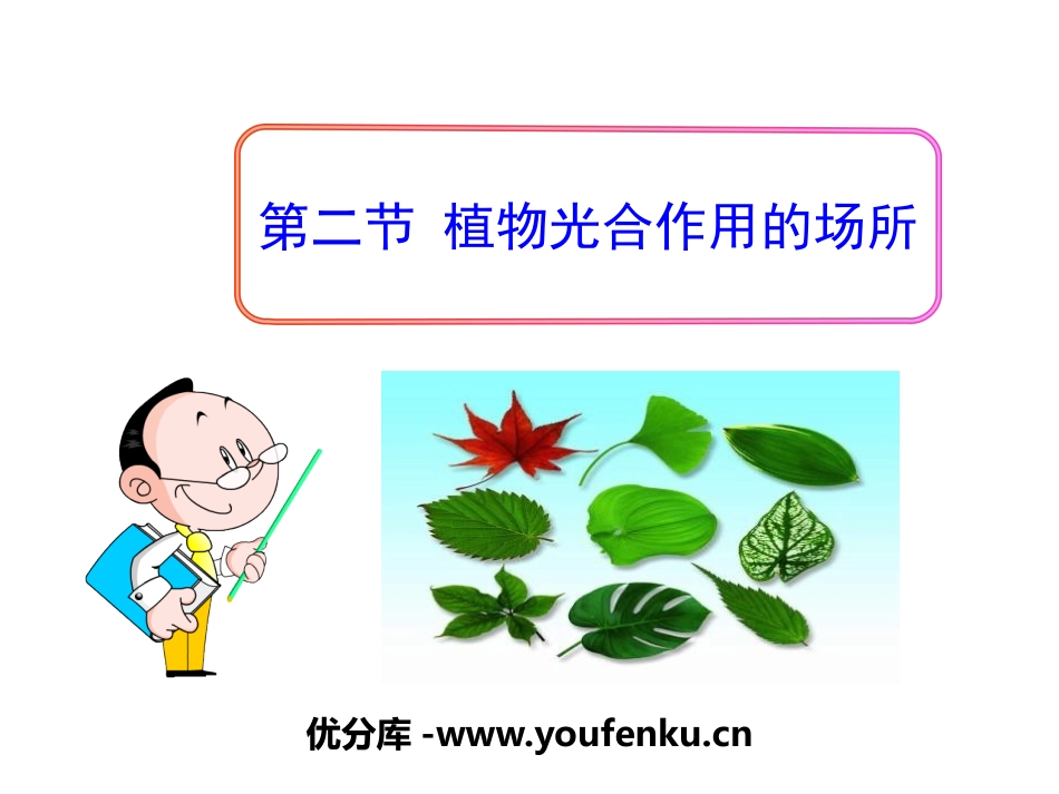 《植物光合作用的场所》PPT教学课件[苏教版七年级生物上册]_第1页