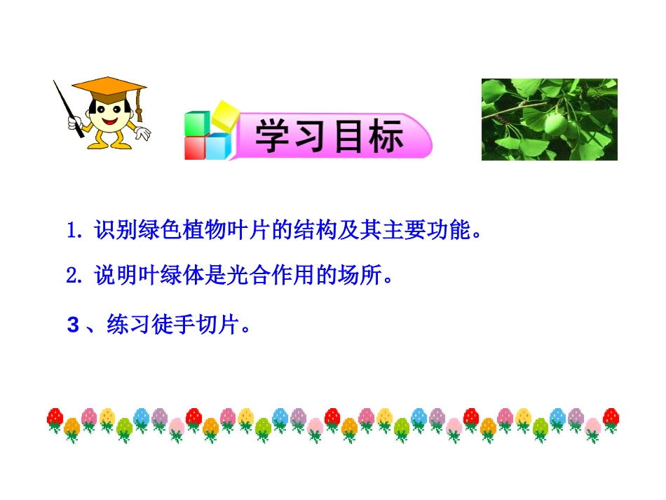 《植物光合作用的场所》PPT教学课件[苏教版七年级生物上册]_第3页