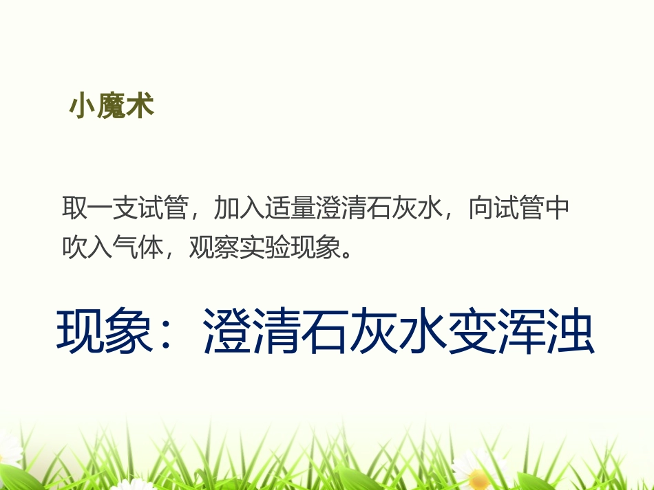 《绿色植物的呼吸作用》PPT优质课件[苏教版七年级生物上册]_第1页