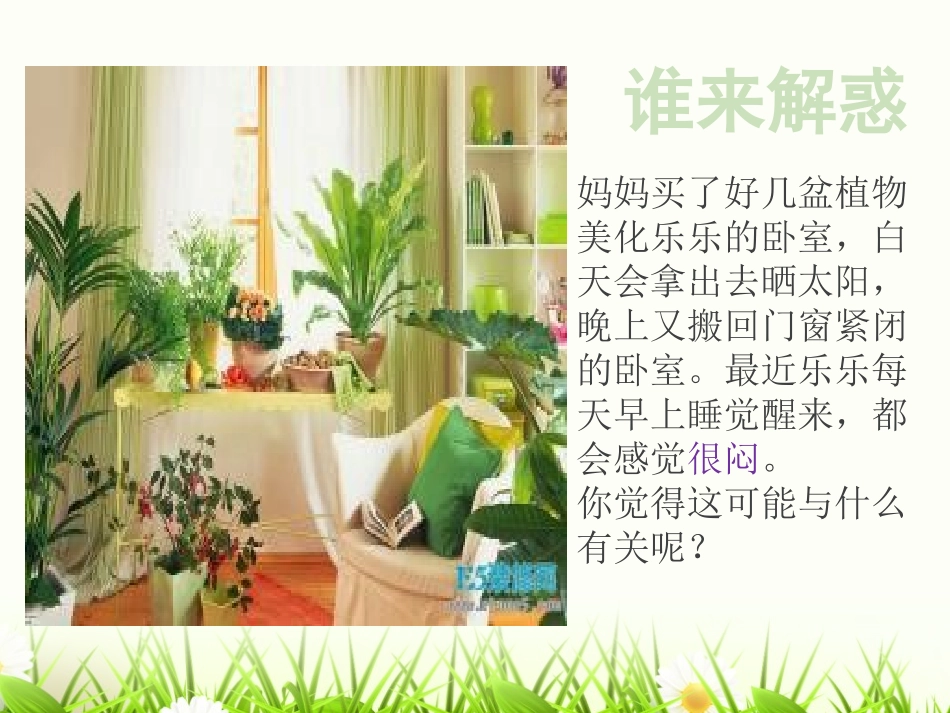 《绿色植物的呼吸作用》PPT优质课件[苏教版七年级生物上册]_第2页