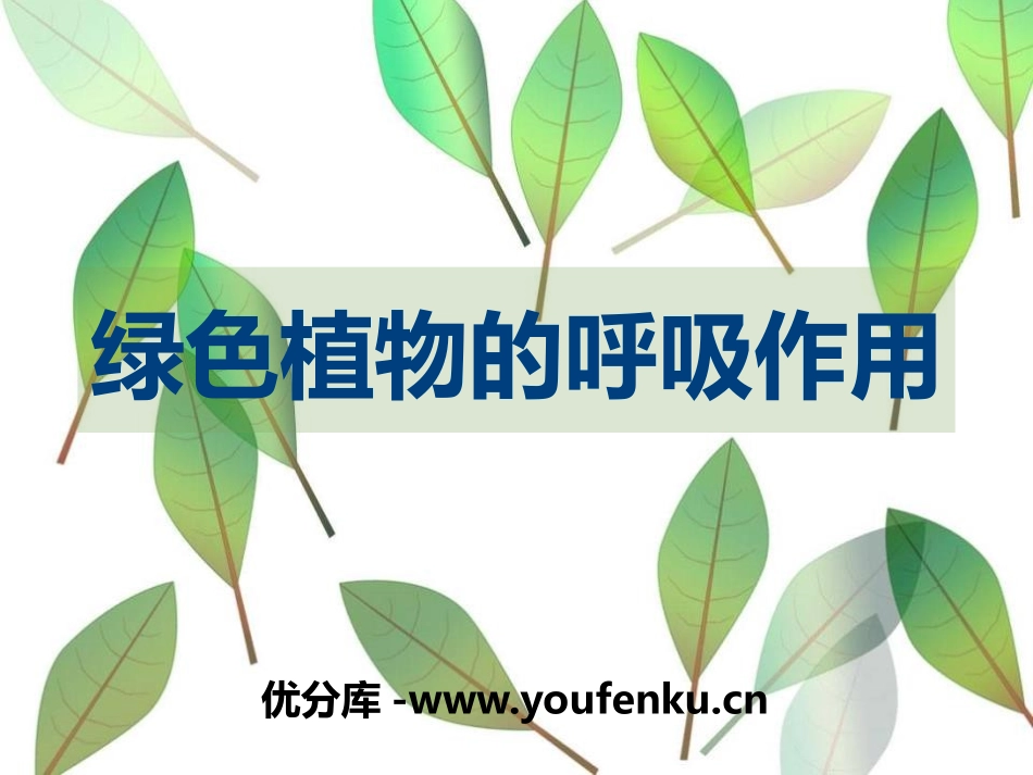 《绿色植物的呼吸作用》PPT优秀课件[苏教版七年级生物上册]_第1页