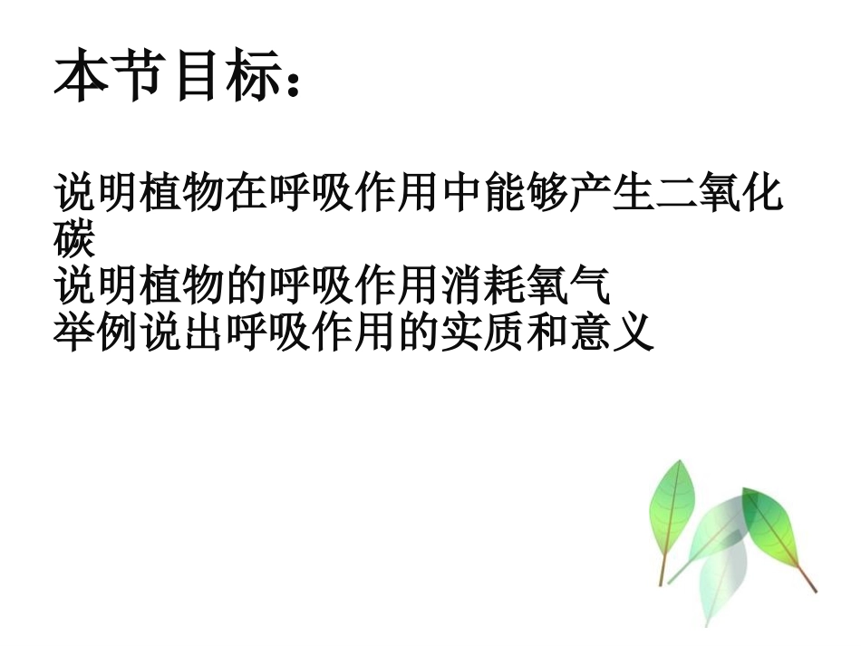 《绿色植物的呼吸作用》PPT优秀课件[苏教版七年级生物上册]_第2页