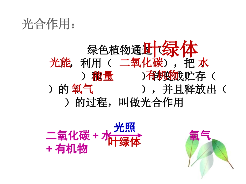 《绿色植物的呼吸作用》PPT优秀课件[苏教版七年级生物上册]_第3页