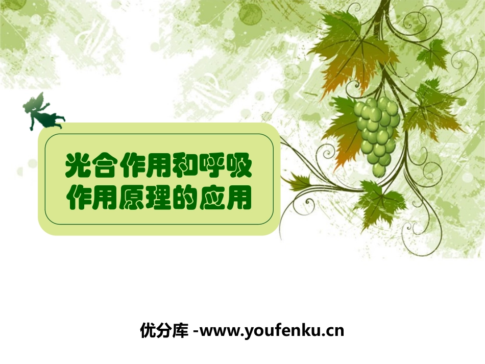 《光合作用和呼吸作用原理的应用》PPT课件[苏教版七年级生物]_第1页