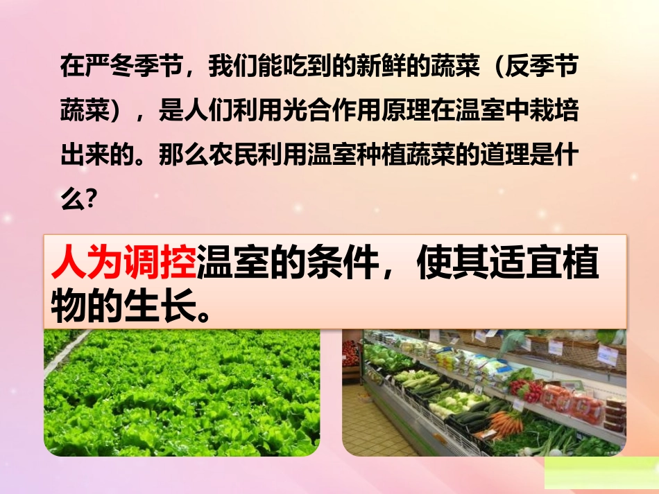 《光合作用和呼吸作用原理的应用》PPT教学课件[苏教版七年级生物]_第2页
