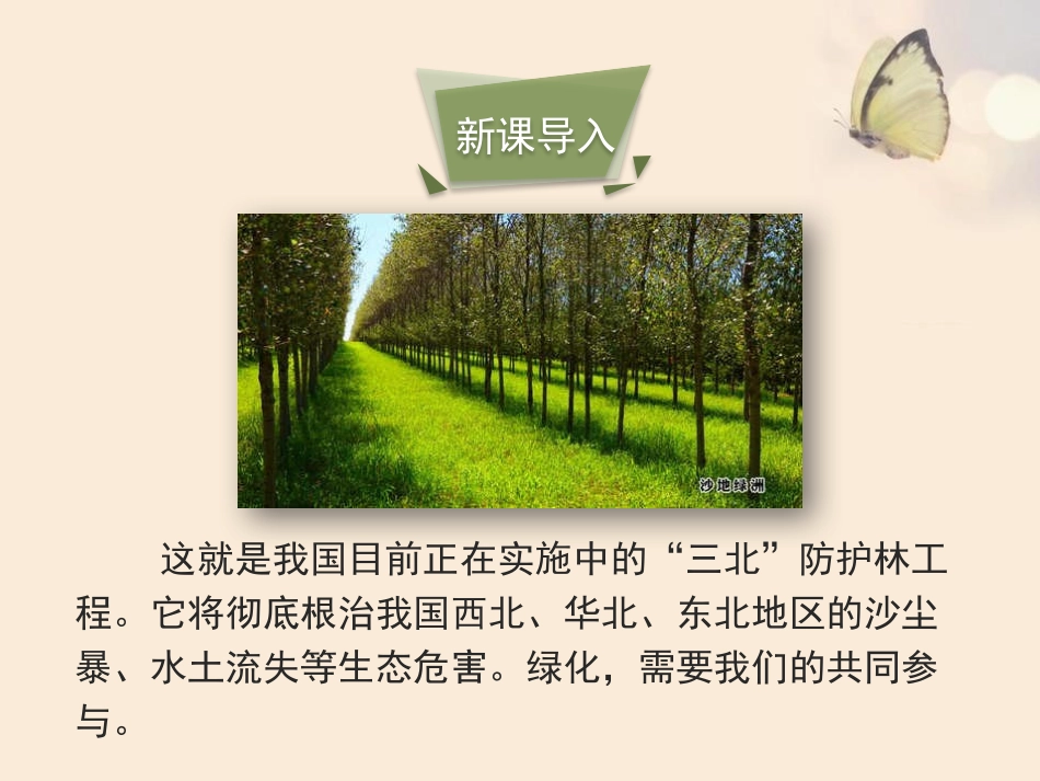《绿化,我们共同的行动》PPT课件[苏教版七年级生物上册]_第2页