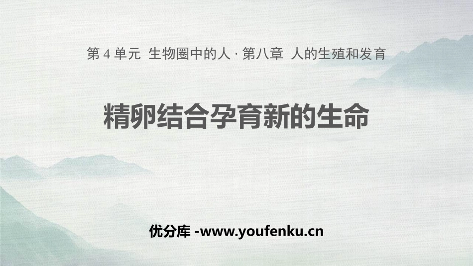 《精卵结合孕育新的生命》PPT课件[苏教版七年级生物下册]_第1页