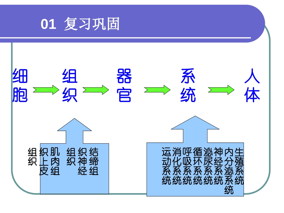 《人体概述》PPT课件[苏教版七年级生物下册]_第3页