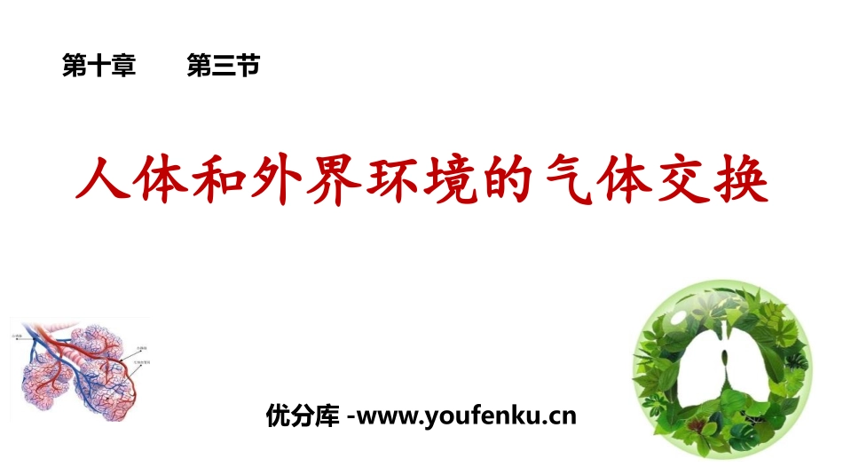 《人体和外界环境的气体交换》PPT课件[苏教版七年级生物]_第1页