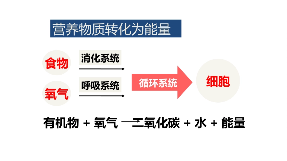 《人体能量的供给》PPT教学课件[苏教版七年级生物下册]_第3页