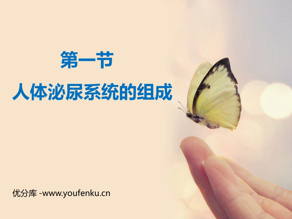 《人体泌尿系统的组成》PPT课件[苏教版七年级生物下册]_第1页