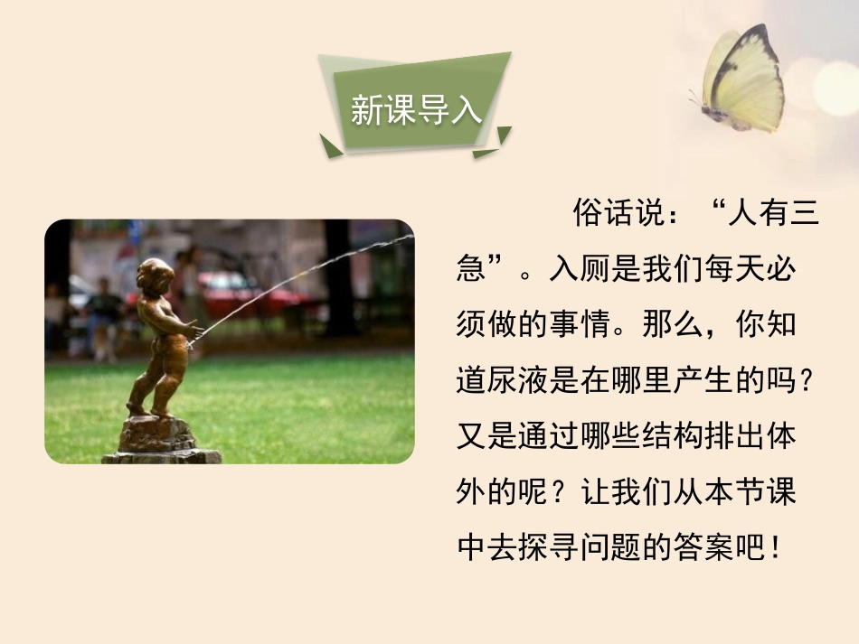 《人体泌尿系统的组成》PPT课件[苏教版七年级生物下册]_第2页