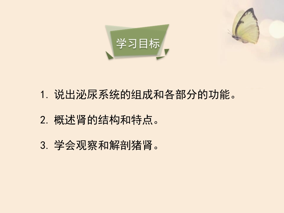 《人体泌尿系统的组成》PPT课件[苏教版七年级生物下册]_第3页