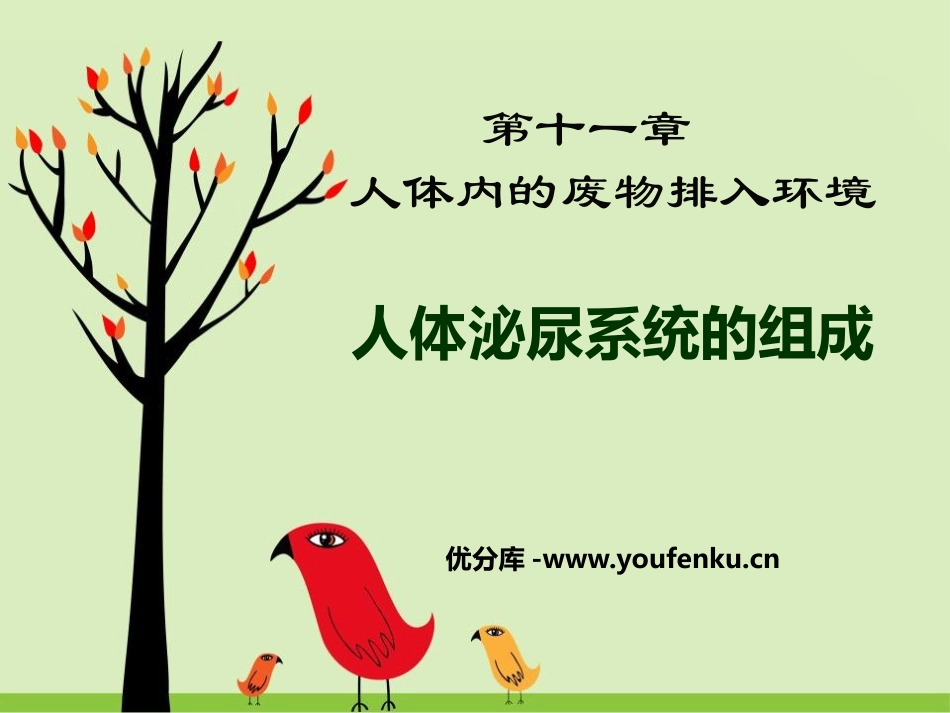 《人体泌尿系统的组成》PPT教学课件[苏教版七年级生物下册]_第1页