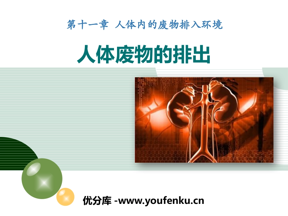 《人体废物的排出》PPT课件[苏教版七年级生物下册]_第1页
