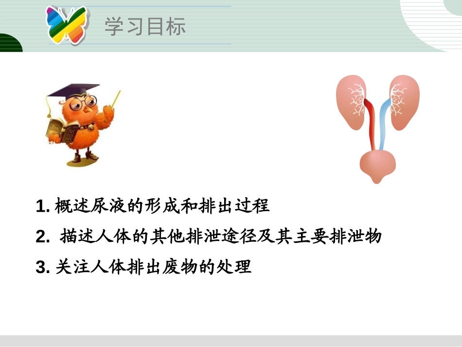 《人体废物的排出》PPT课件[苏教版七年级生物下册]_第2页