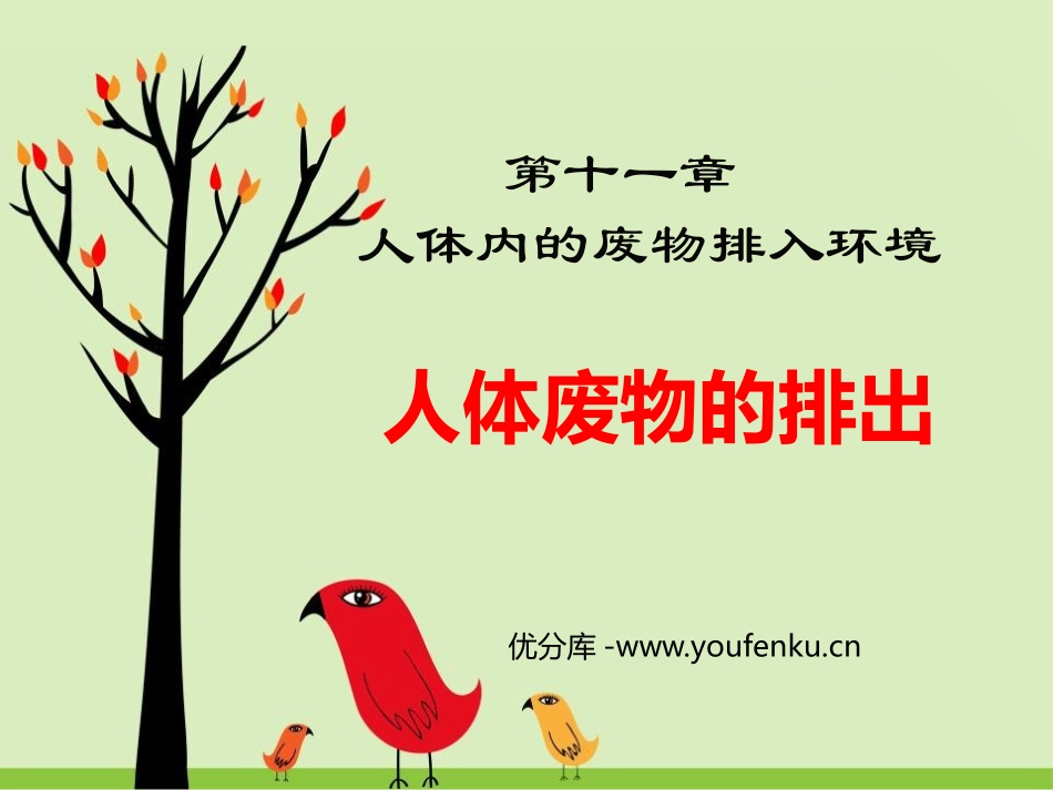 《人体废物的排出》PPT教学课件[苏教版七年级生物下册]_第1页