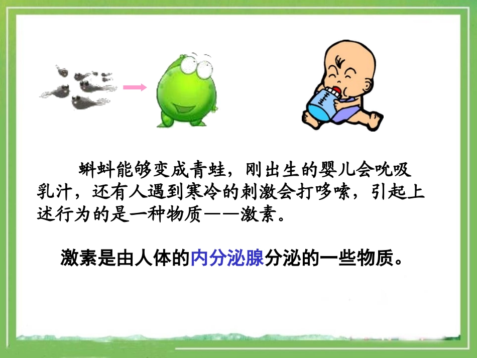 《人体的激素调节》PPT课件[苏教版七年级生物下册]_第3页