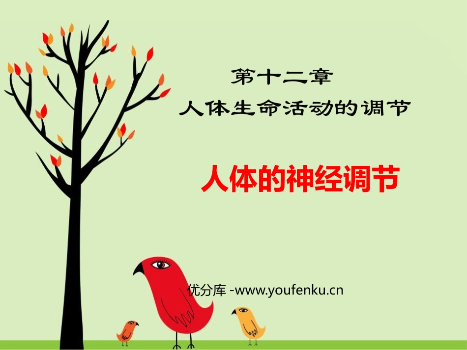 《人体的神经调节》PPT课件[苏教版七年级生物下册]_第1页