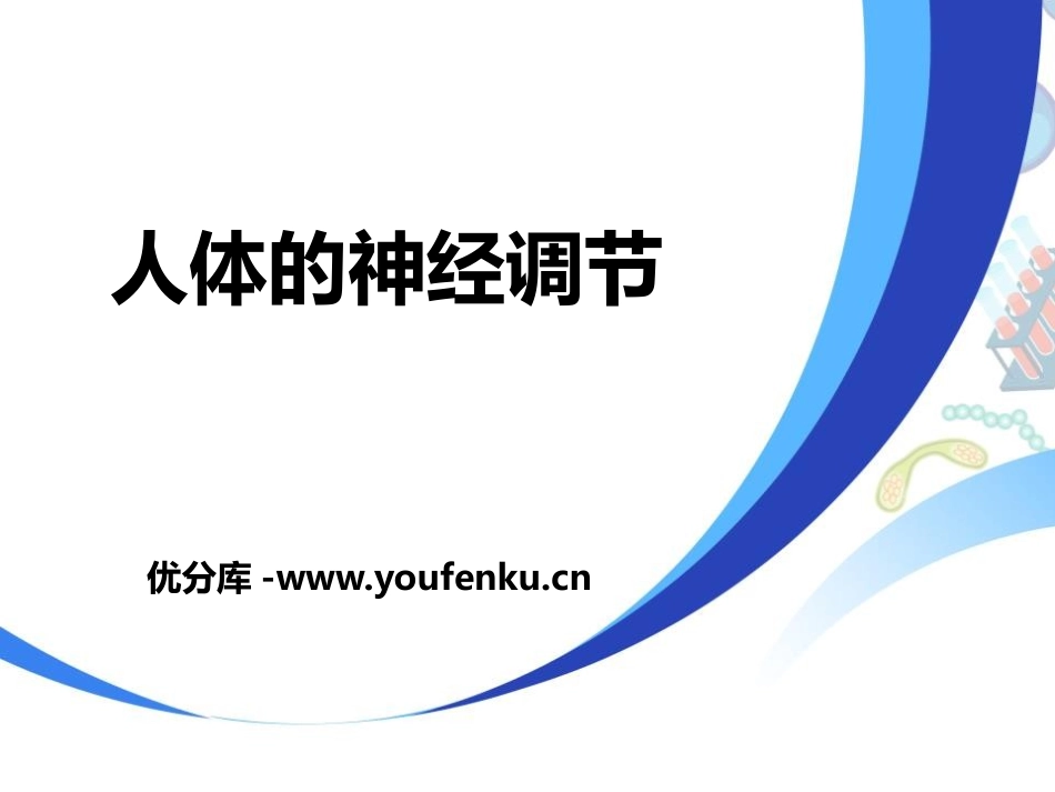 《人体的神经调节》PPT教学课件[苏教版七年级生物下册]_第1页