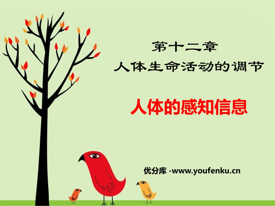 《人体的感知信息》PPT课件[苏教版七年级生物下册]_第1页