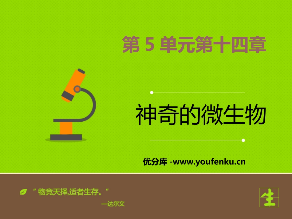 《神奇的微生物》PPT课件[苏教版八年级生物上册]_第1页