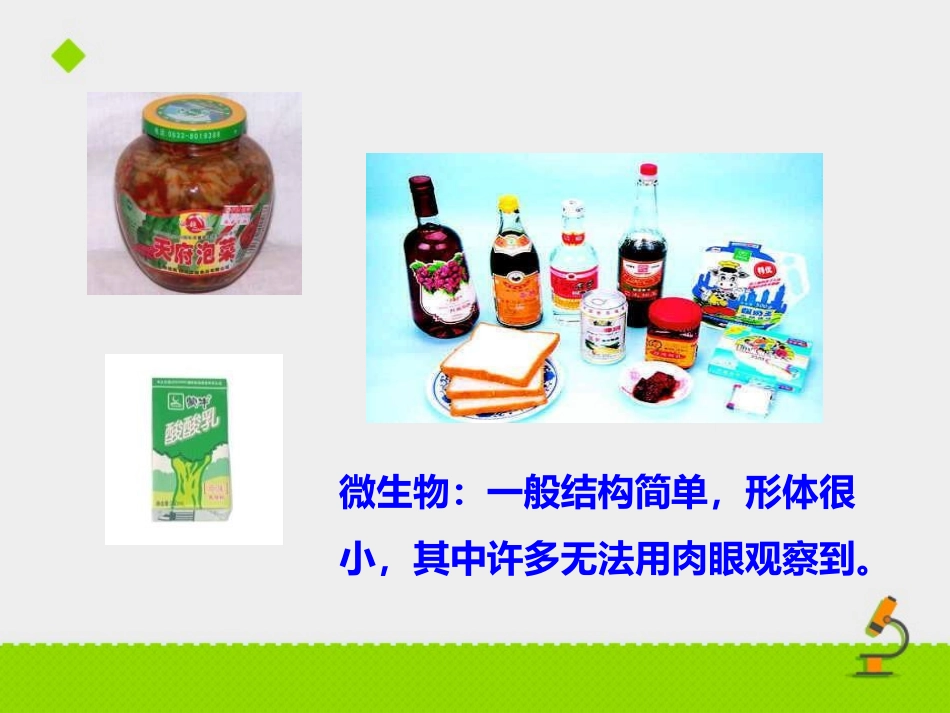 《神奇的微生物》PPT课件[苏教版八年级生物上册]_第2页