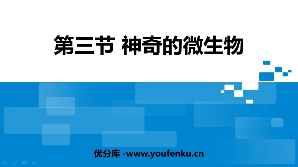 《神奇的微生物》PPT教学课件[苏教版八年级生物上册]_第1页