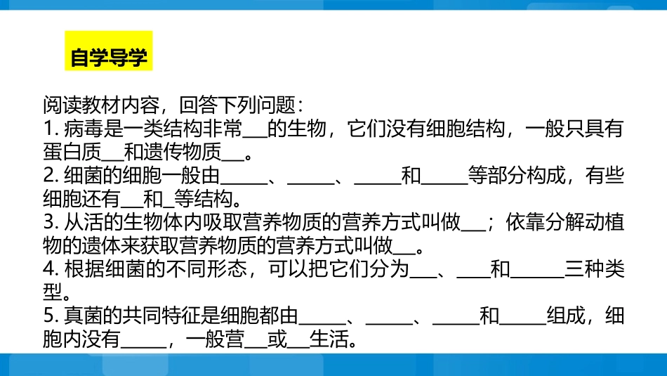 《神奇的微生物》PPT教学课件[苏教版八年级生物上册]_第3页